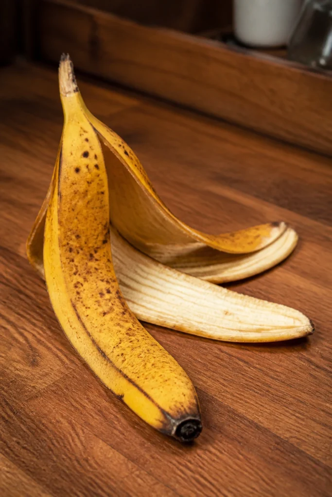 Can Guinea Pigs Eat Bananas And Banana Peel?