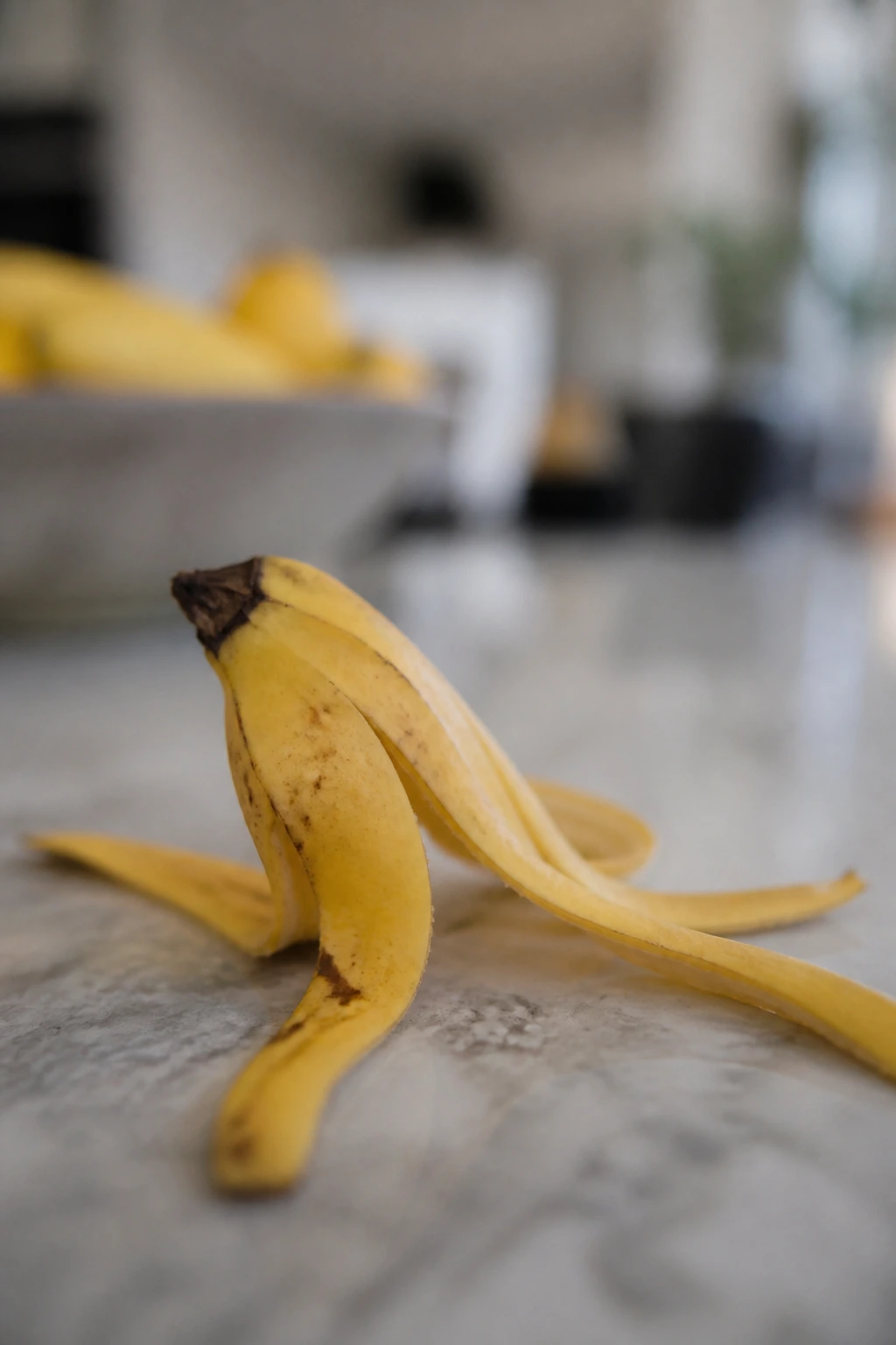 Dog-Friendly Treats: Are Banana Peels Good For Dogs? 6 Close-up of a banana peel on a kitchen surface