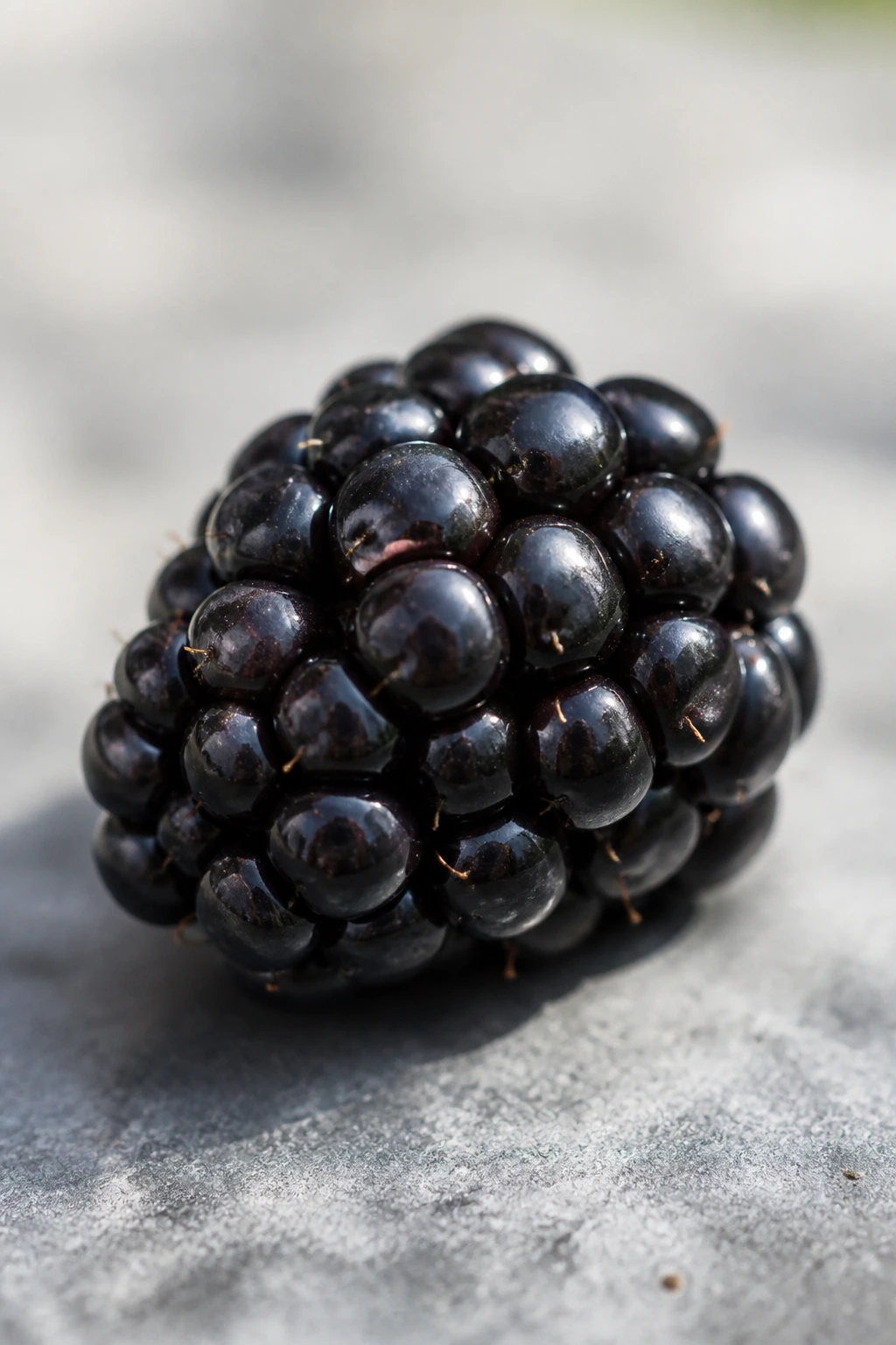 Close-up of a single blackberry on a neutral surface