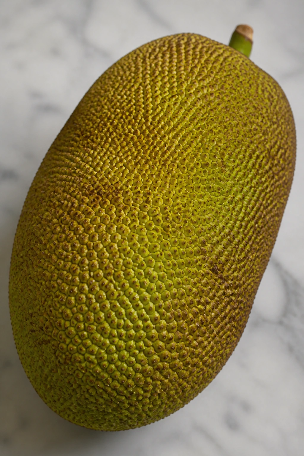 How To Ripen Jackfruit Faster: In 5 Easy Tips 3 Jackfruit on a clean surface under soft light, implying careful ripening