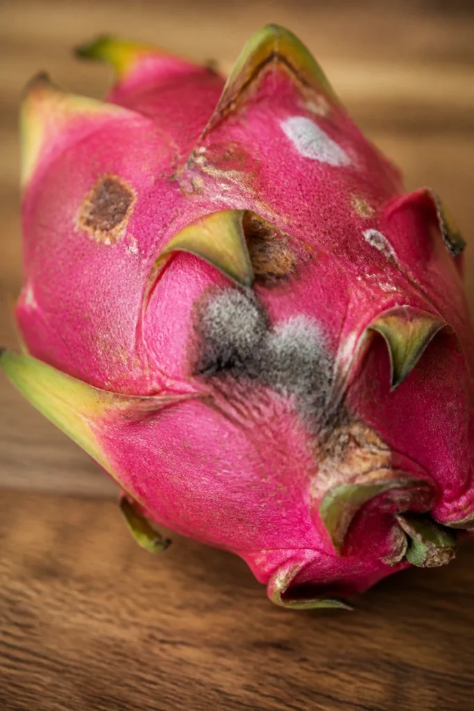 How To Tell If Dragon Fruit Is Bad? & How Long Does It Last?