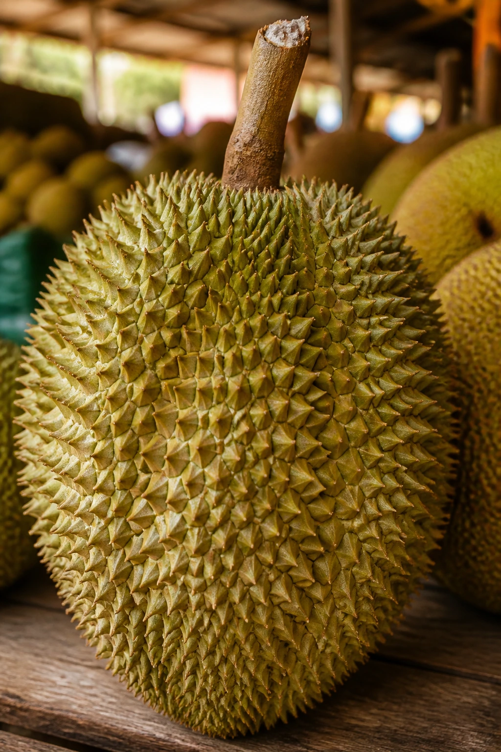 Close-up of a spiky durian in a market setting