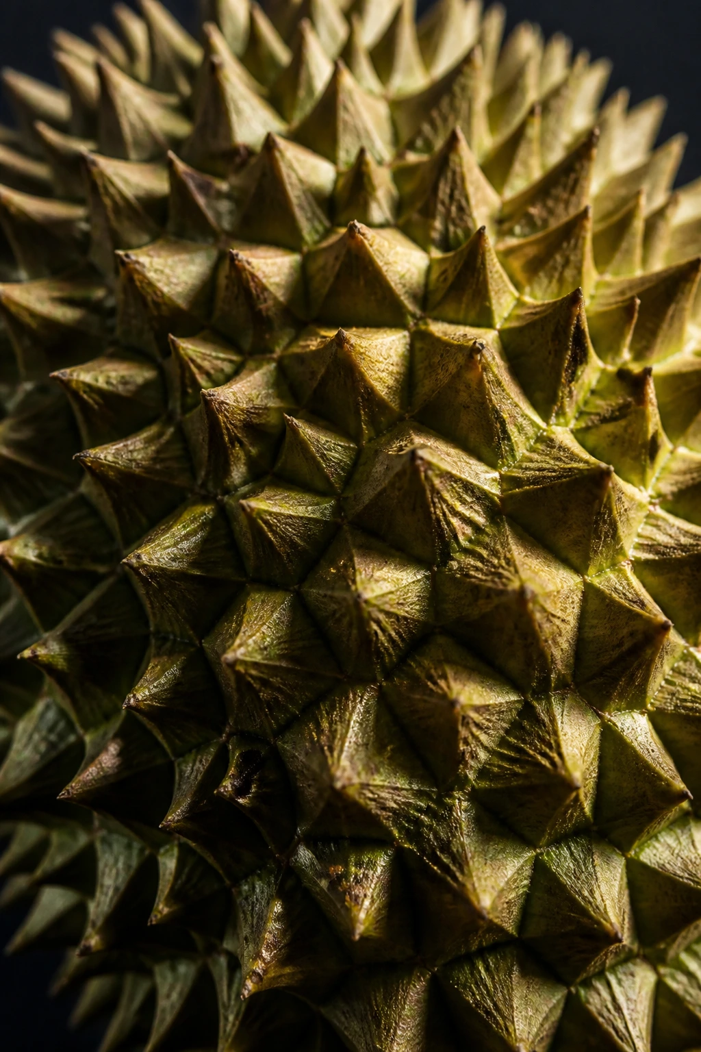 Macro shot of durian spikes against dark background.