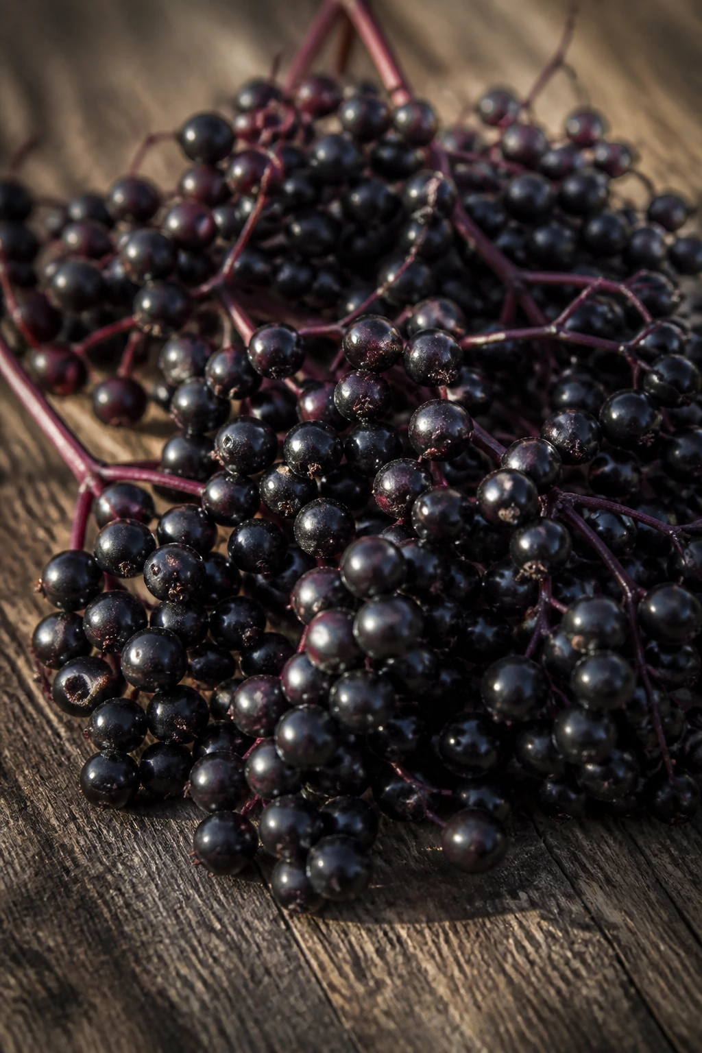 10 Special Fruits That Are Superfoods (For A Healthy Diet) 9 Cluster of tiny dark purple elderberries on stems