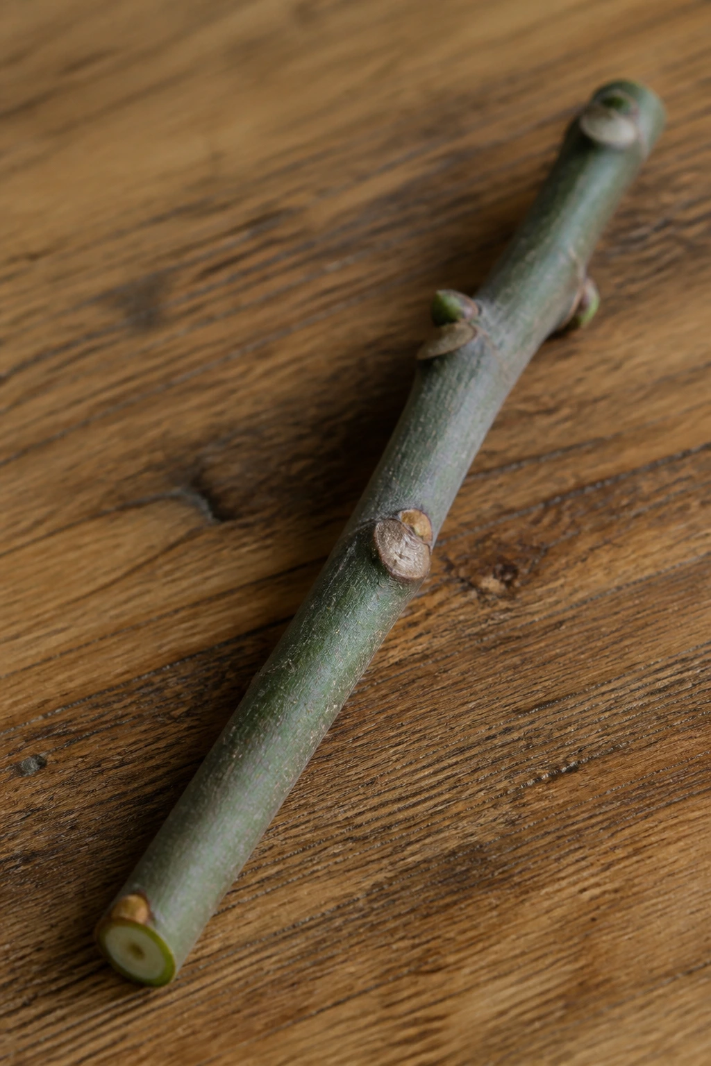 Fig cutting on wooden surface with node visible