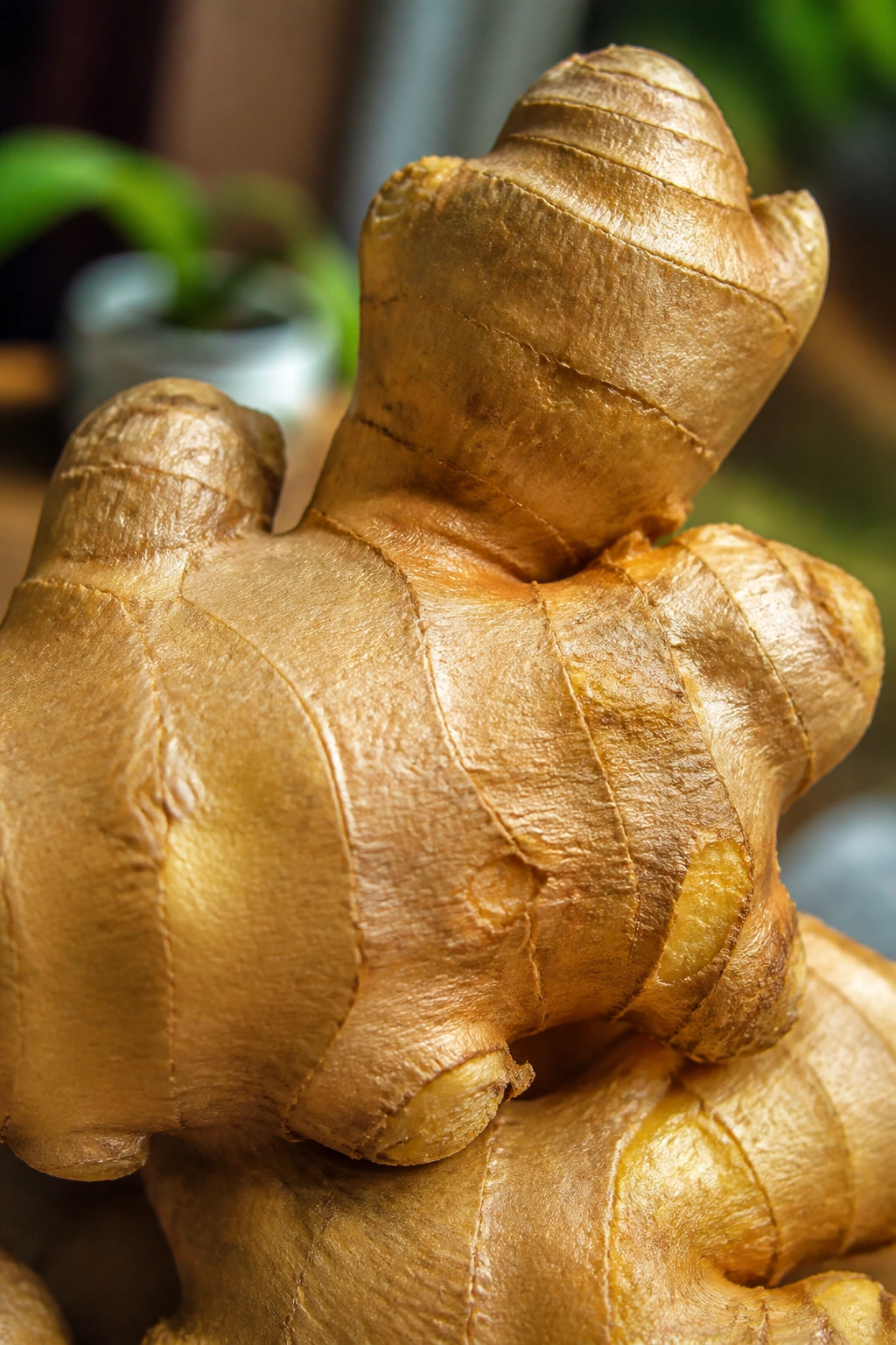Is Ginger Good or Bad for Kidney Stones? 2 Close-up of a single ginger root filling the frame with textured surface
