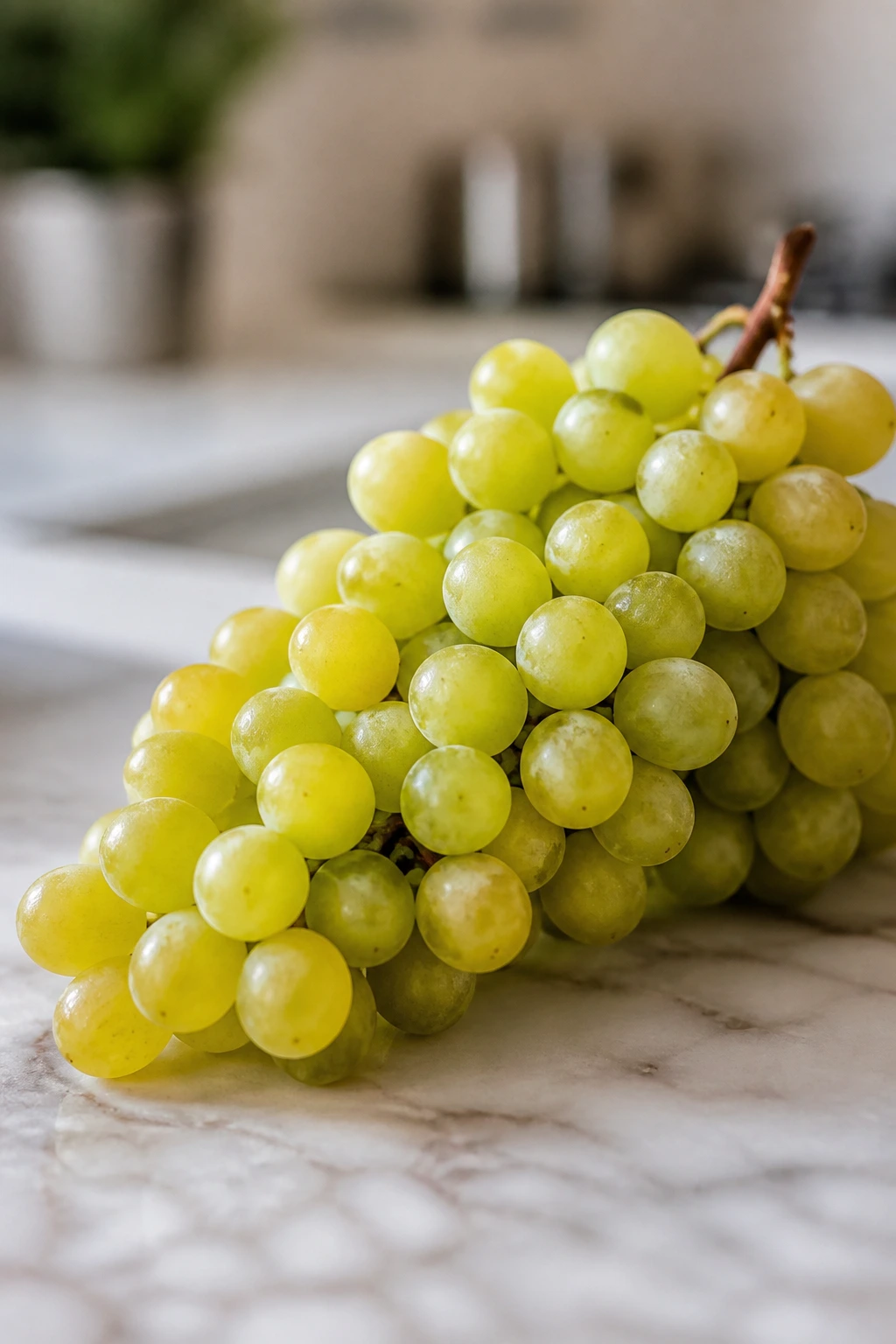 Close-up grape cluster representing FAQs about grapes