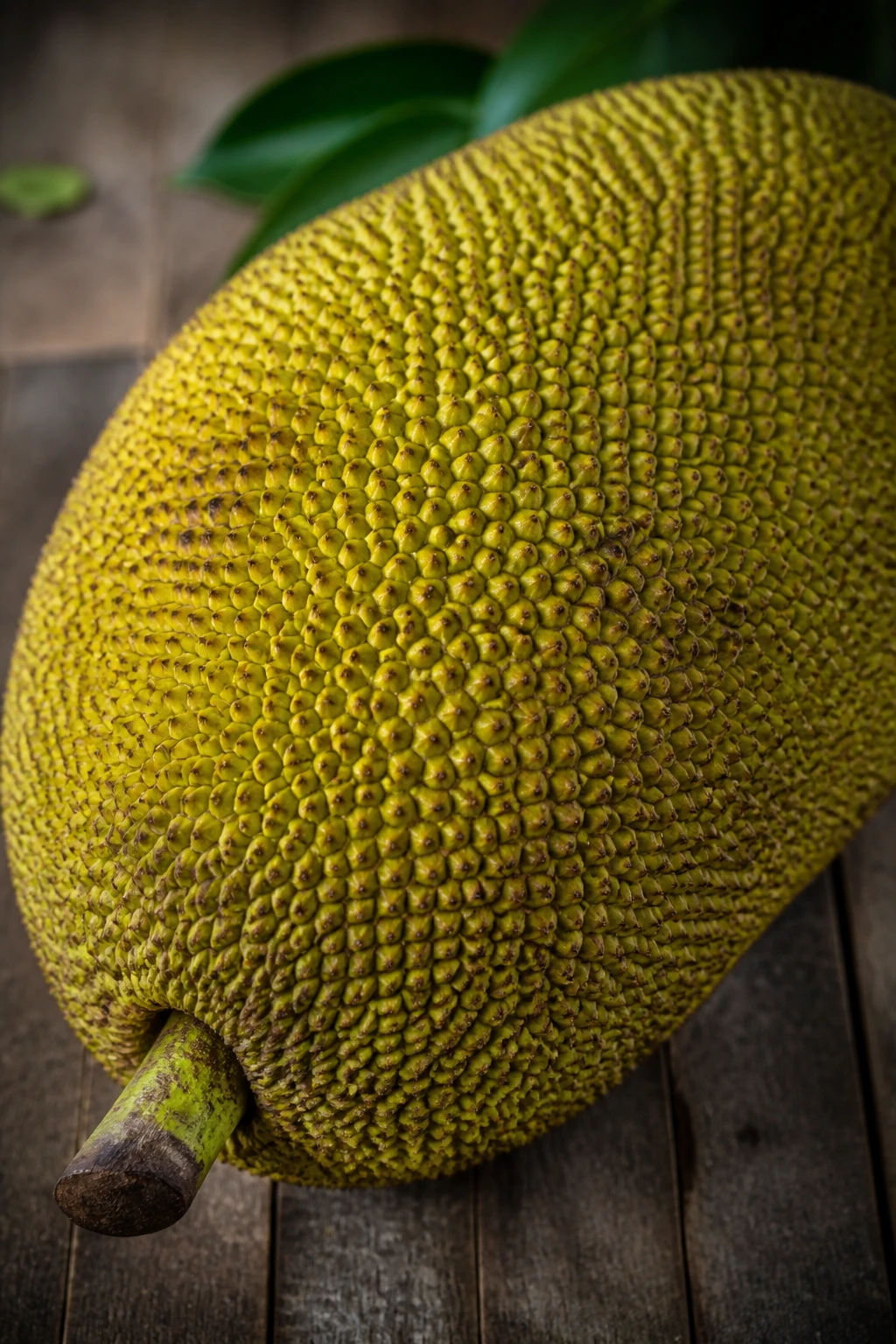 Close-up of a large jackfruit with textured rind on a wooden surface