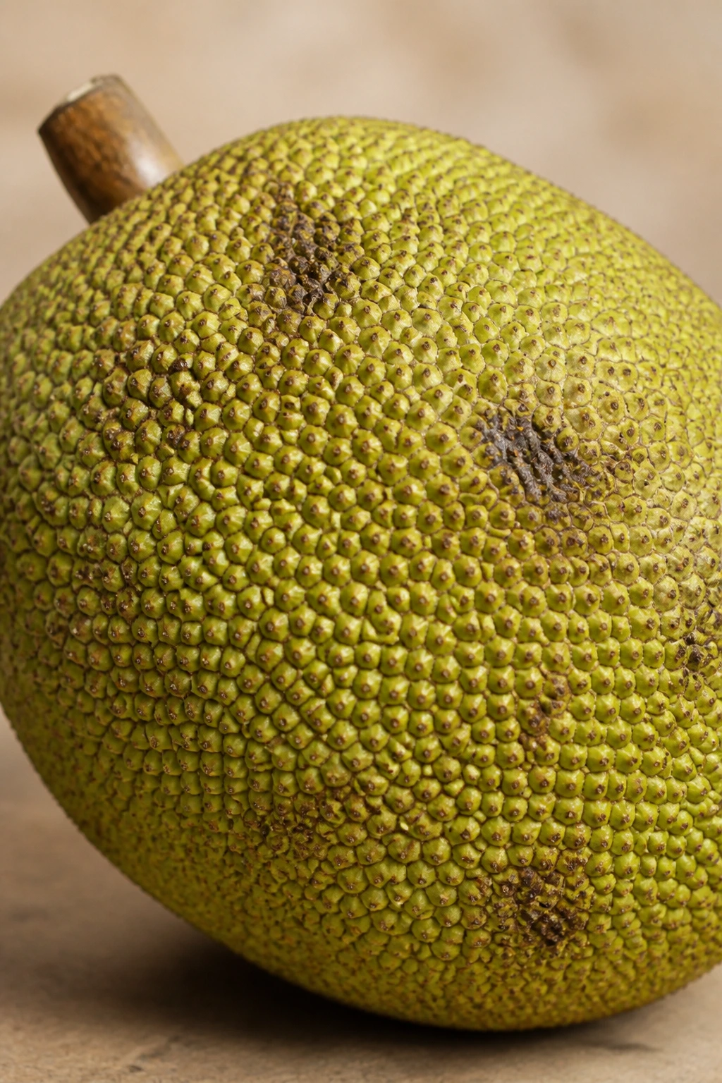 Jackfruit surface with minor spots showing spoilage monitoring