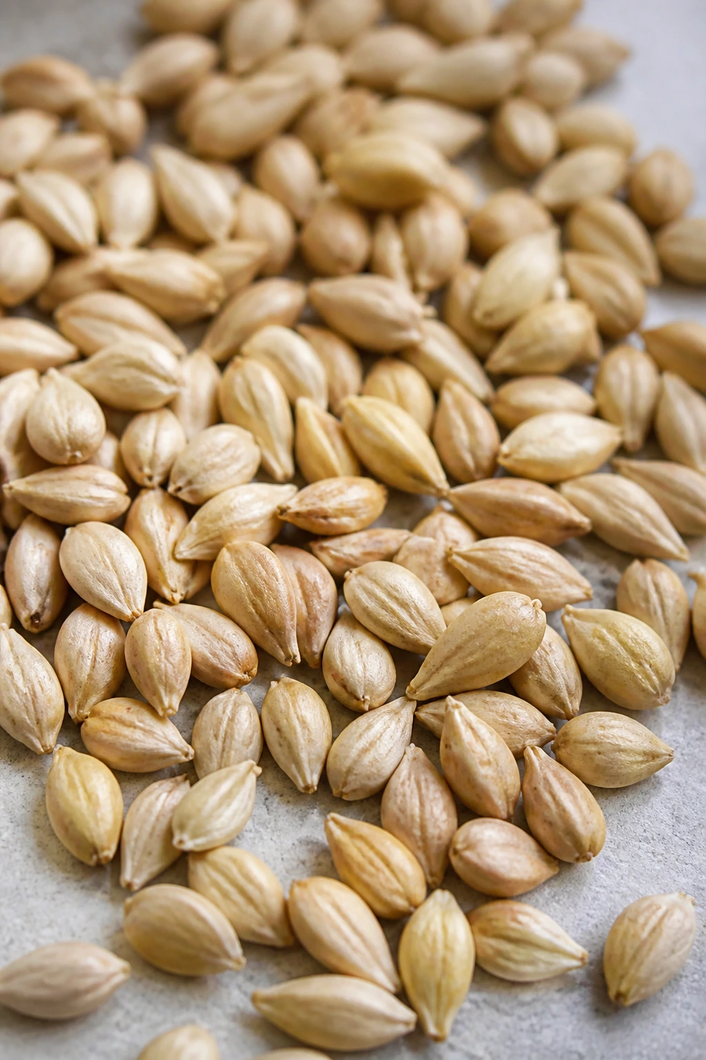 Are Lemon Seeds Poisonous To Humans Or Dogs? 4 Close-up of lemon seeds illustrating swallowing risk filling the frame.