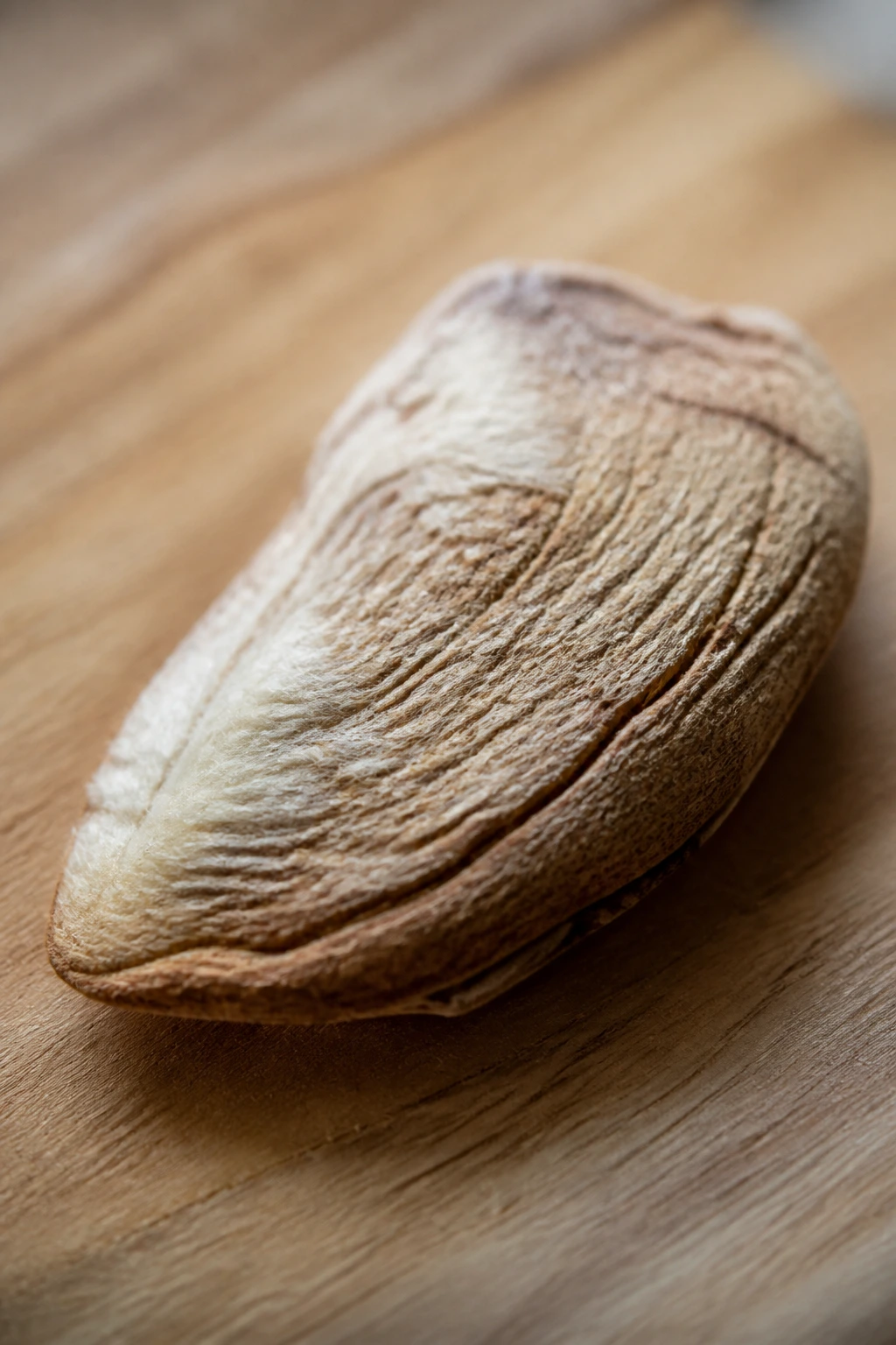Can You Eat Mango Seeds? What Are The Benefits? 2 Mango seed close-up showing fiber-rich fuzzy exterior and inner texture