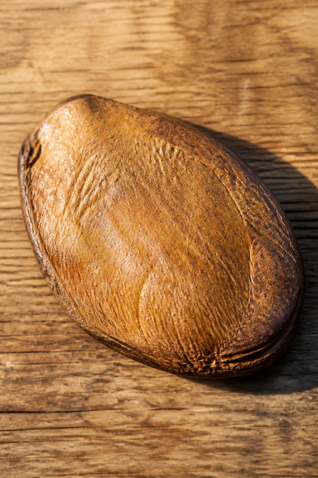 Are Mango Seeds Poisonous To Dogs? All You Need To Know 1 Close-up of a single mango seed on a wooden surface