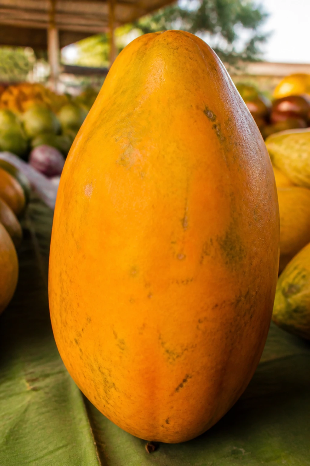 Papaya's Delight: How To Make Papaya Taste Good & Juicier 1 Close-up of a ripe papaya with orange skin in a market setting