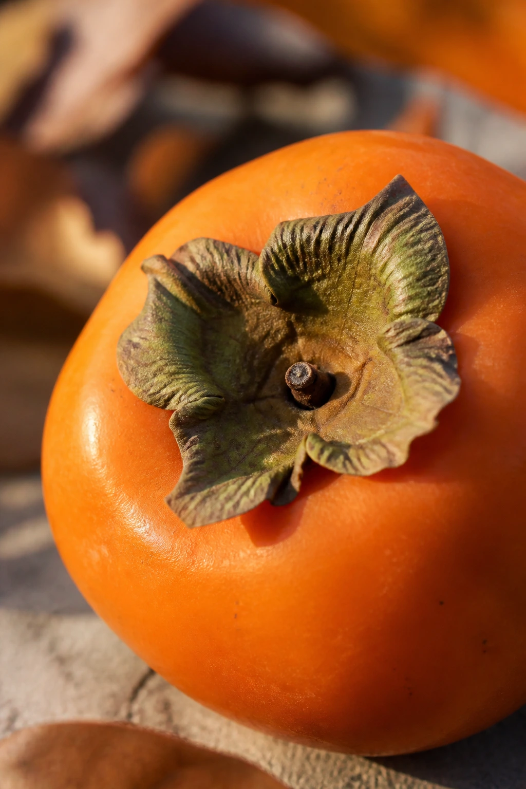 Close-up of a persimmon against a soft autumn background