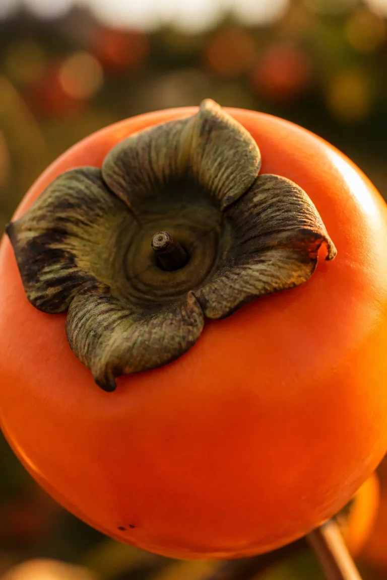 What Is the National Fruit of Korea And Why? [ANSWERED]