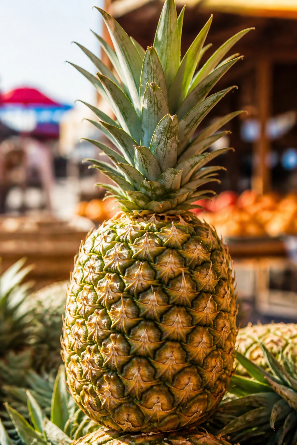 Pineapple filling the frame in bright outdoor market light