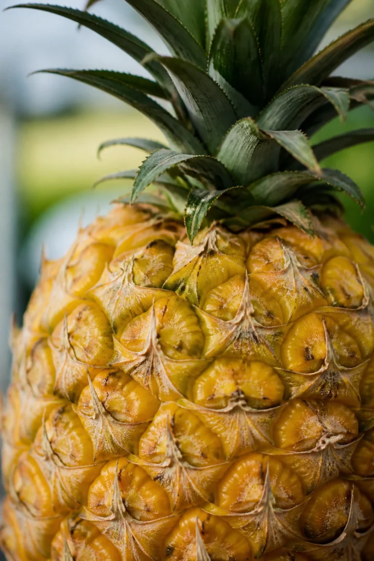 What Is the National Fruit of Puerto Rico? [ANSWERED]