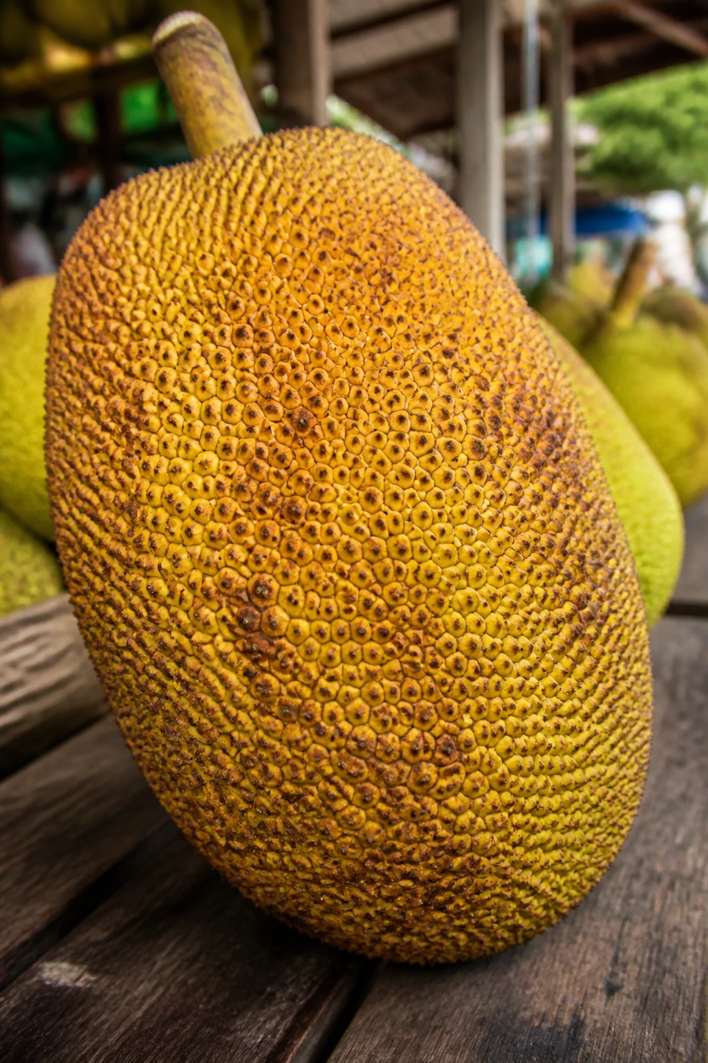 How To Tell If A Jackfruit Is Ripe? Here's How You Know 2 Medium close-up of a yellow-brown spotted jackfruit at market