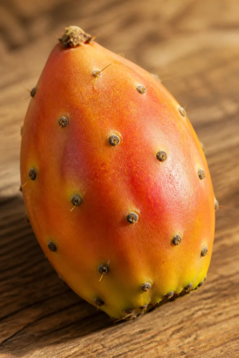 What Is the National Fruit of Israel And Why? [ANSWERED]