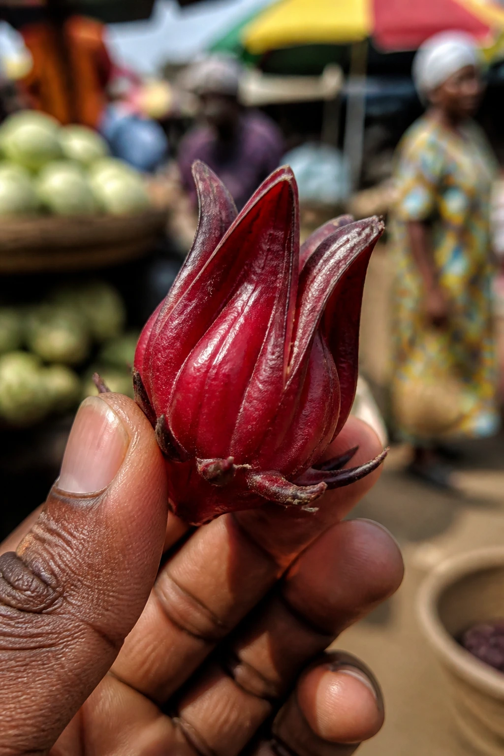 Sorrel fruit held in hand with market backdrop