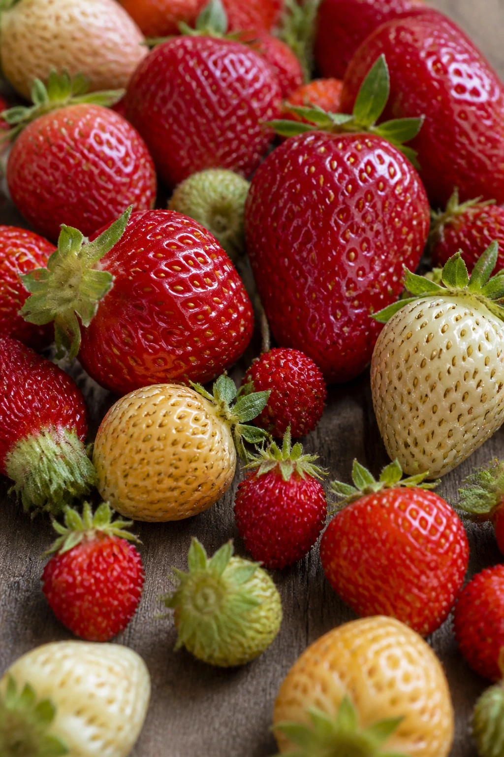 Close-up of diverse strawberries showcasing different varieties on a wooden surface