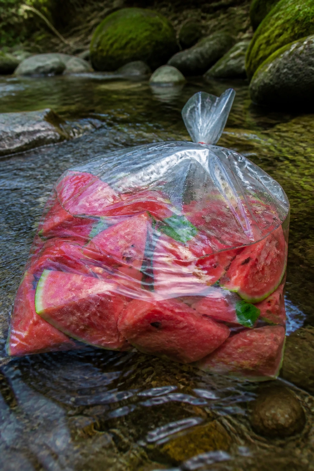 Waterproof bag with watermelon submerged in a forest stream
