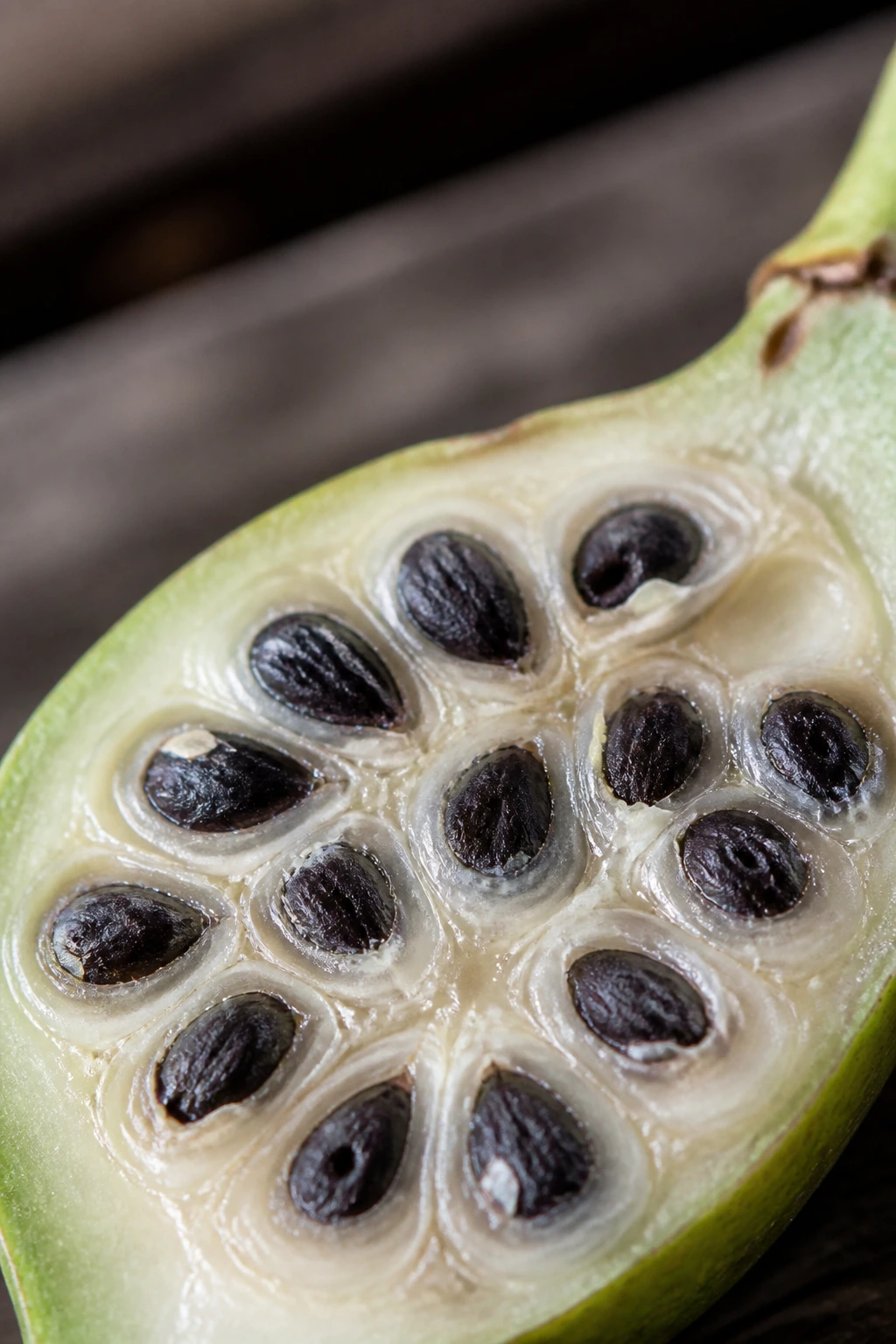The Anatomy of Banana Seeds: What Do Banana Seeds Look Like? 3 Macro close-up of young wild banana seeds inside a locule
