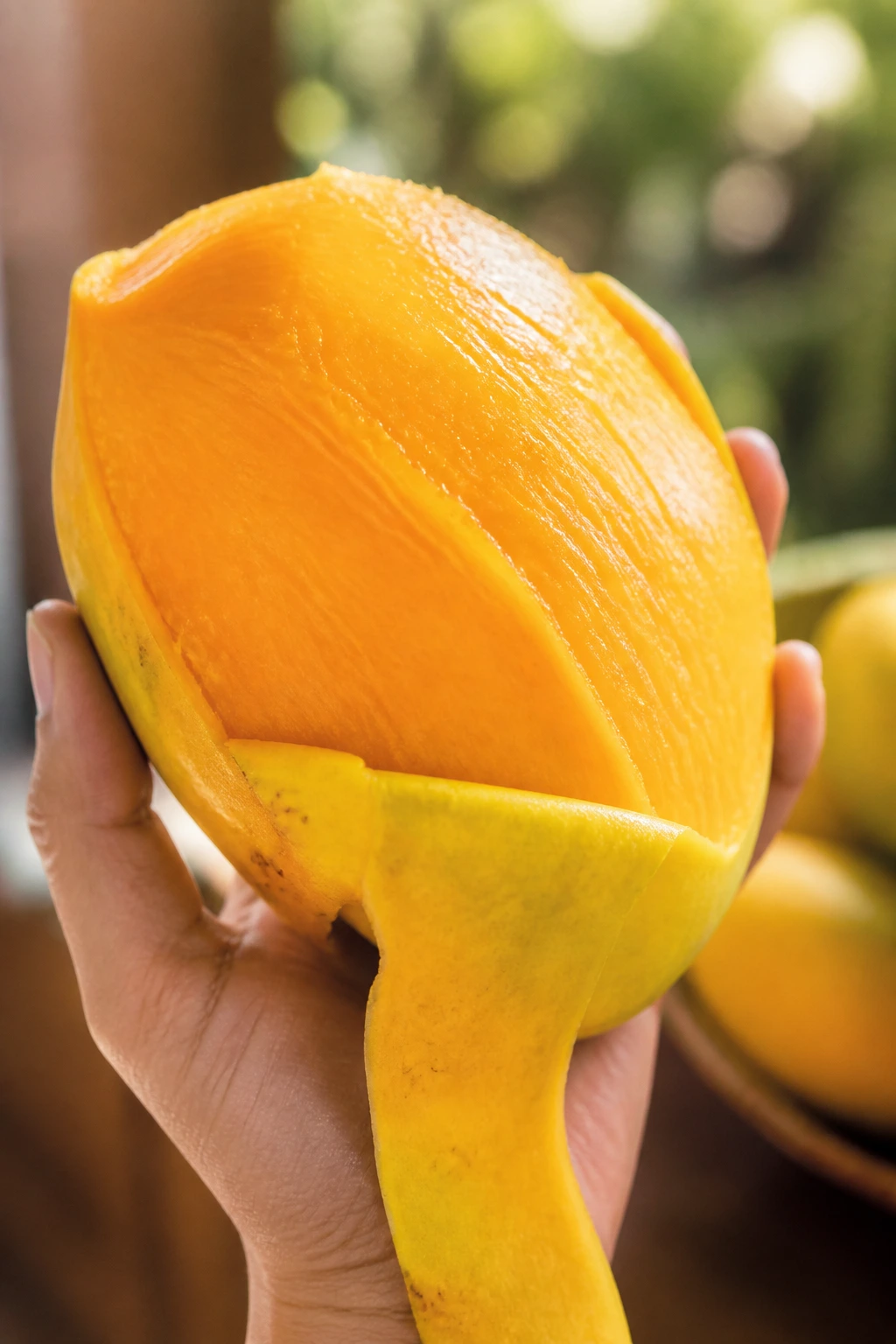 Close-up of a ripe mango held in hand with bright orange flesh exposed.