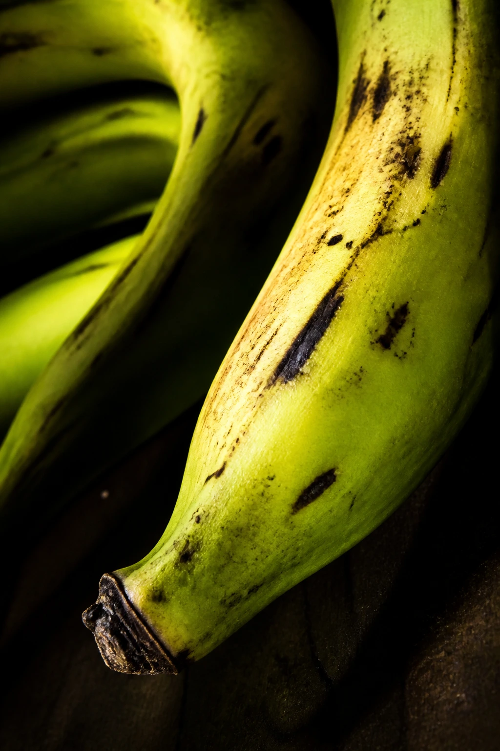 Close-up of plantain with dramatic lighting indicating risk