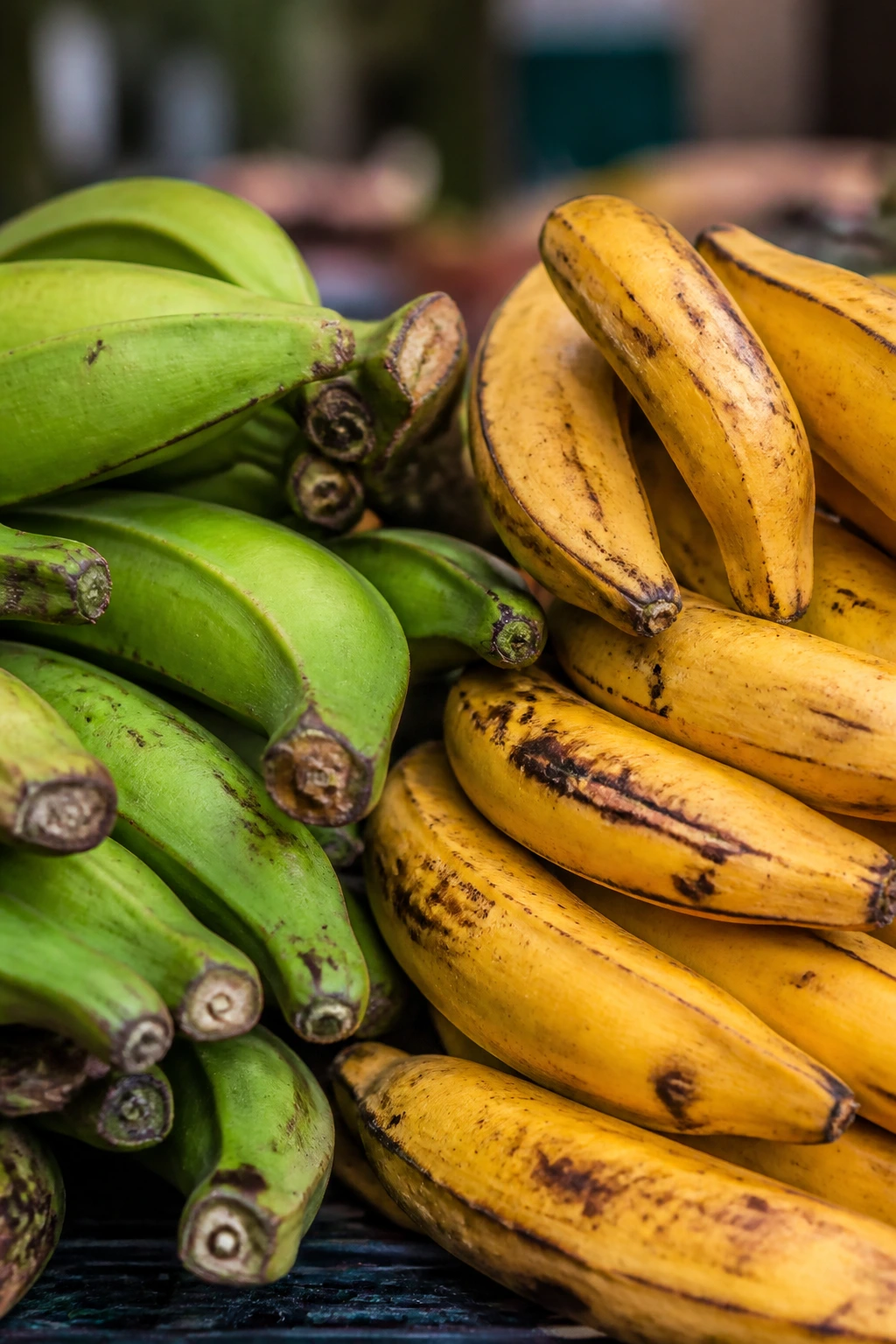 Close-up of green and yellow plantains to show unripe vs ripe stages.